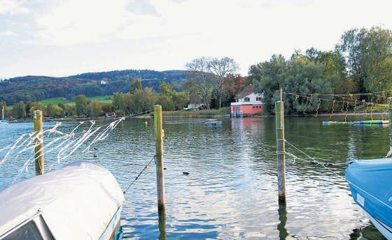 Vettels Traum Am See St Galler Tagblatt