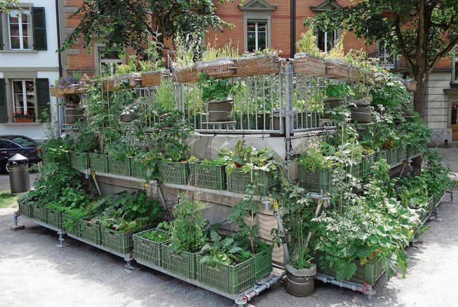 Dieses Urban-Gardening-Projekt aus der Stadt Bern könnte Vorbild sein für Frauenfeld: die «Hängenden Gärten vom Breitsch» im Breitenrain-Quartier. (Bild: PD/Stadtgrün Bern)