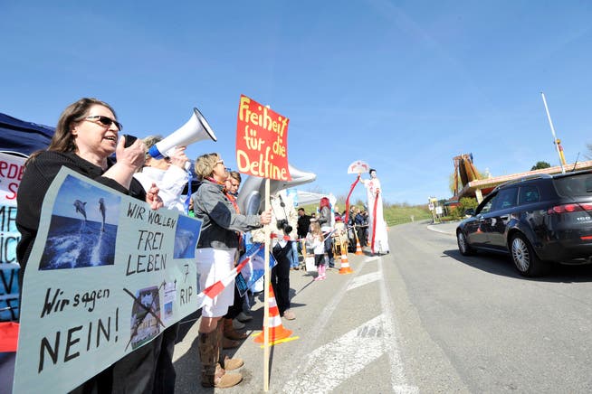 Am 1. April 2012 demonstrierten Tierschützer vor dem Connyland. (Bild: Donato Caspari)
