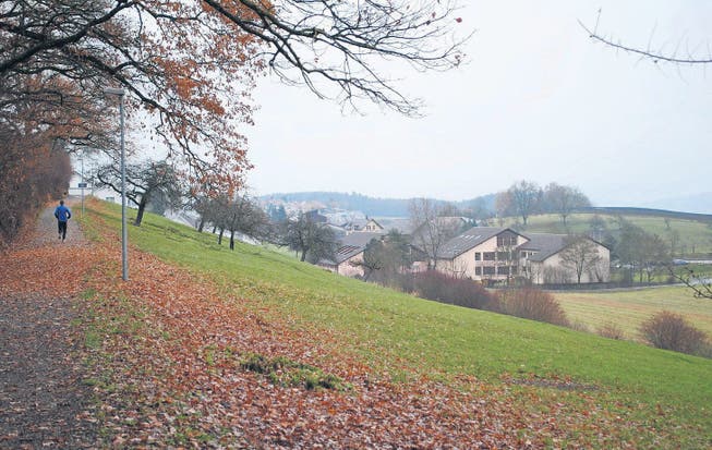 Aus dem Wies- und Ackerland zwischen den Dörfern Warth und Weiningen wird vorläufig kein Bauland. (Bild: Evi Biedermann)