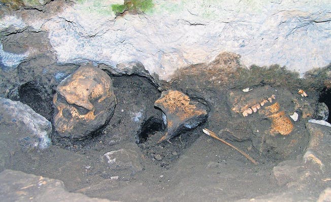 Die Fundstelle auf dem Hochplateau in Dmanisi: Links der intakte fünfte Schädel, daneben verschiedene 1,77 Millionen Jahre alte Tierknochen. (Bild: Uni Zürich)