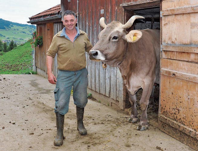 Bauer Ueli Biser putzt am Vorabend der Alpabfahrt jede seiner Kühe für den besonderen Tag. (Bild: gia)