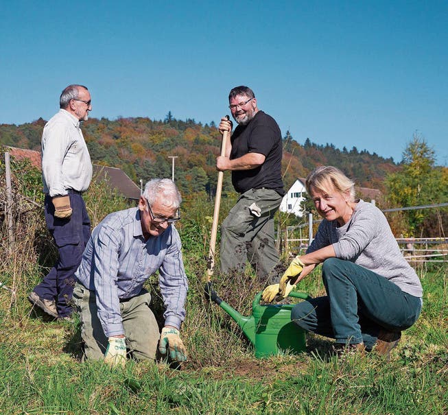 Heckenpflanzung in Dingenhart (Bild: Sandra Schweizer/PD)