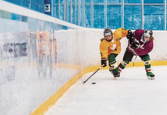 Die Hockeyaner wollen sich nicht aus der Bodensee-Arena drängen lassen. (Bild: Reto Martin)