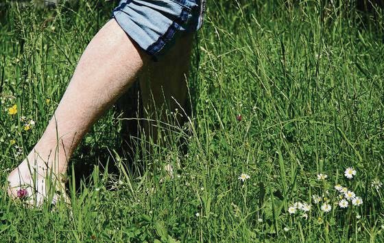 Wer sich oft im Freien bewegt, sollte sich vor Zecken schützen. In hohem Gras ist die Gefahr gross, eine Zecke abzustreifen. (Bild: Samuel Rothenfluh)