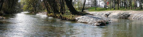 Im Bereich Bruggerhorn wurden neue Inseln im Alten Rhein geschaffen, um die Strömung des Flusses zu verbessern. Fischarten wie die Äsche können davon profitieren. (Bilder: Rudolf Hirtl)