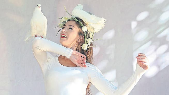 Tänzerin Marula Eugster übt ihren Variété-Auftritt mit den zahmen Tauben. (Bilder: Daniela Ebinger)