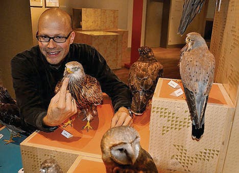 Museumsleiter Hannes Geiser stellte die neue Ausstellung im Naturmuseum vor. (Bild: Margrith Pfister-Kübler)