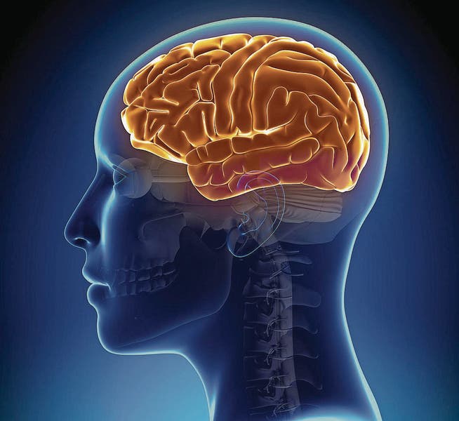 Daniel C. Kiper wird beschreiben, welche Aktivitäten für das Gehirn besonders gut und nützlich sind. (Bild: fotolia)