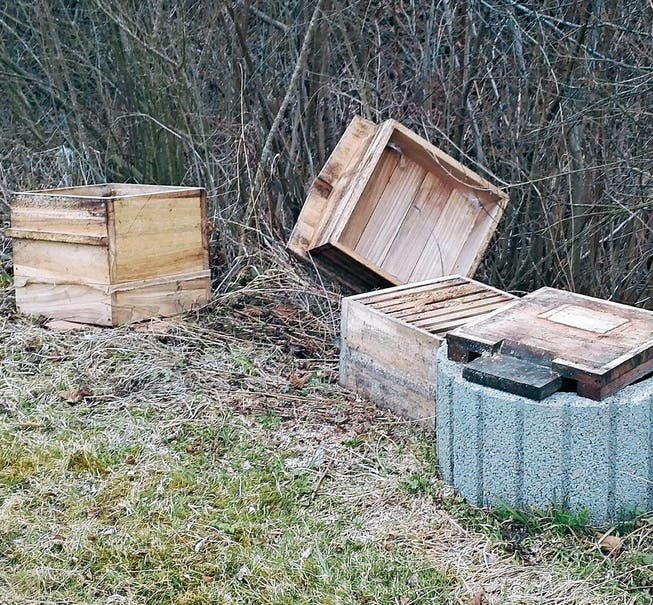 Vom Sockel gestossen: Unbekannte haben die Bienen von Rüdiger Junghans getötet. Foto: (Bild: Rüdiger Junghans)