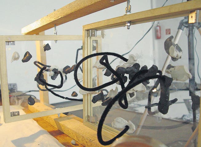 «Entfaltung ist überall möglich»: Roland Dostal: Bilder-Installation, Neuwerk Konstanz, 2008. Kommendes Wochenende stellt er in Arbon aus. (Bild: pd)