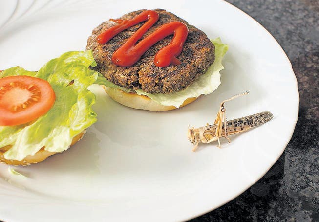 «Fast wie normale Burger» schmeckten jene aus Insekten, sagt Jungunternehmer Matthias Grawehr. (Bild: pd)
