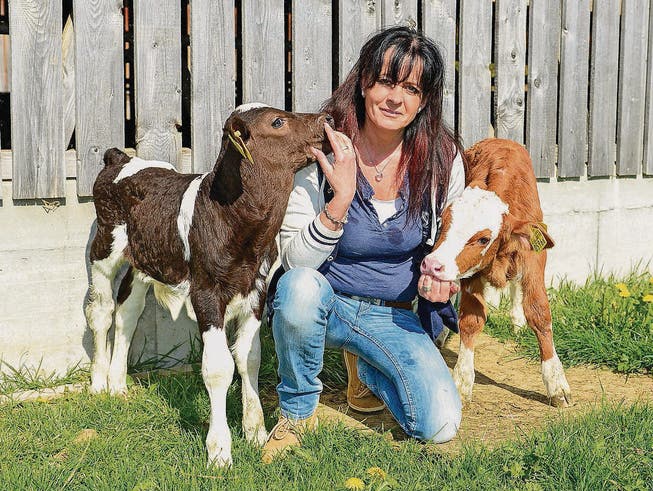 Tierheilpraktikerin Petra Grenz arbeitet auch mit Nutztieren auf landwirtschaftlichen Betrieben. (Bild: Daniela Ebinger)
