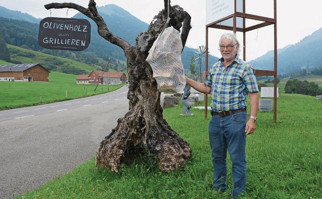 Robert Sager hat einen abgestorbenen 200jährigen Olivenbaum zum Werbeträger umfunktioniert. (Bild: ker)