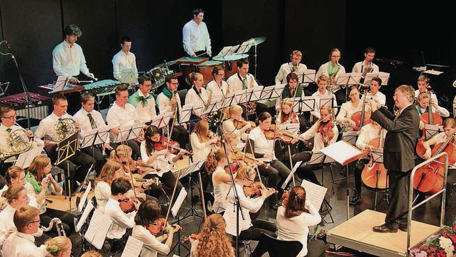 Das Jugend-Symphonieorchester an einem Konzert noch unter der Leitung von Dirigent Roger Ender. (Archivbild: Barbara Hettich)