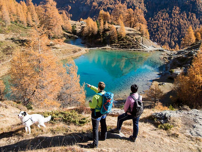 Der Herbstsaison kommt für den Schweizer Tourismus vermehrt eine stabilisierende Wirkung zu. (Symbolbild) (Bild: KEYSTONE/ANTHONY ANEX)