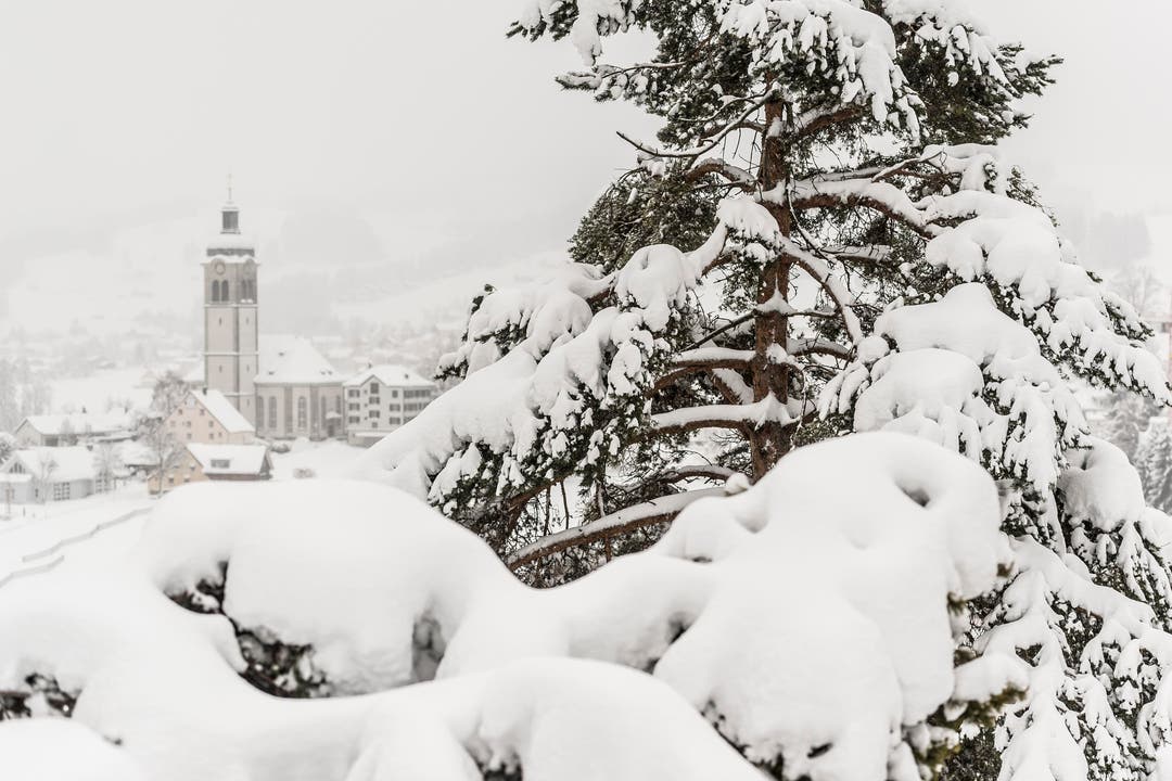 Wetterbilder, Schnee in Speicher AR. (Bild: Hanspeter Schiess)
