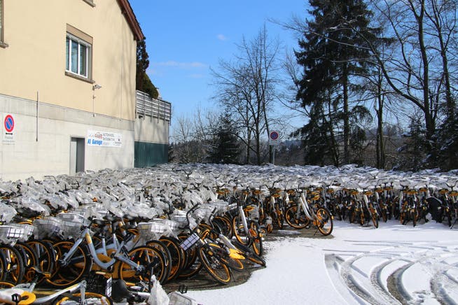 Die O-Bikes stehen seit vergangenem Herbst auf einem Parkplatz an der Langgasse. (Bild: Matthias Fässler)