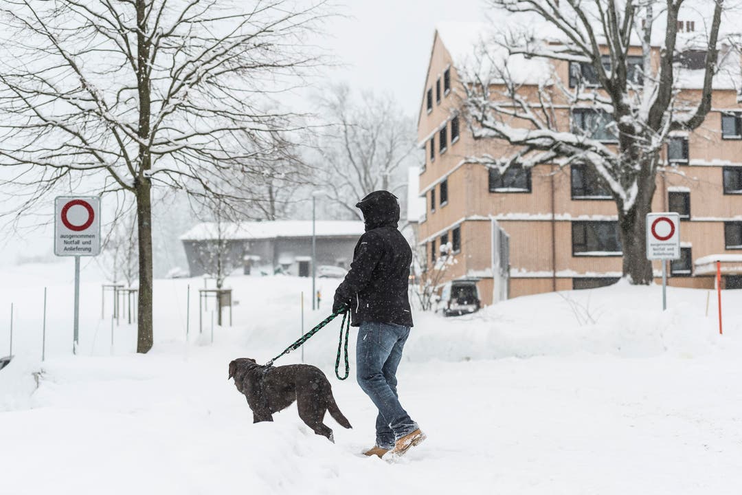 Wetterbilder, Schnee in Speicher AR. (Bild: Hanspeter Schiess)