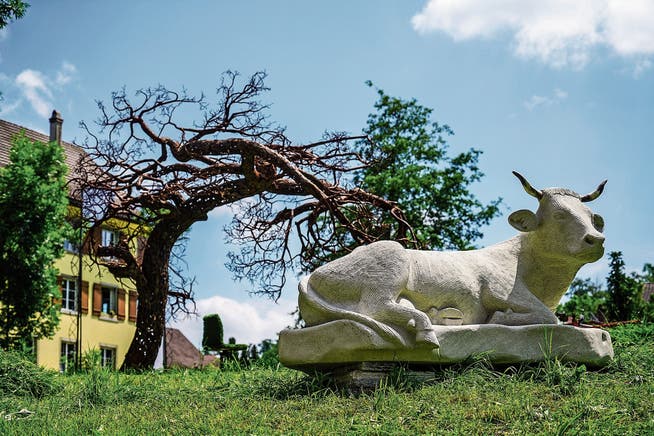 Die zwei Tonnen schwere Kuh von Steinmetz-Weltmeister Tobias Kupferschmidt liegt im Gras des Rotfarbareals, hinter ihr der Baum aus Metall von Thomas Urben. (Bild: Maya Heizmann)