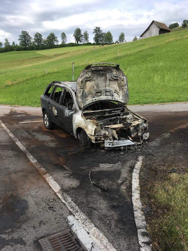 Der völlig ausgebrannte Wagen nach dem Einsatz der Rettungskräfte. (Bild PD)