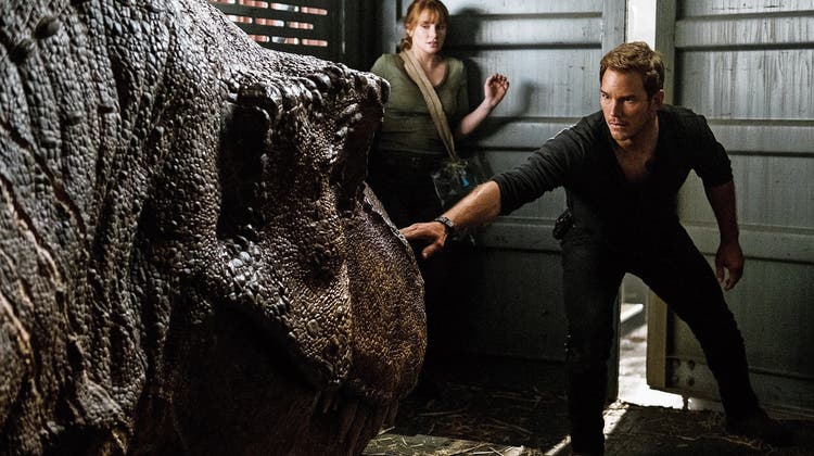 Owen (Chris Pratt) und Claire (Bryce Dallas Howard) müssen die letzten Dinosaurier vor dem Aussterben bewahren. (Bild: Universal)