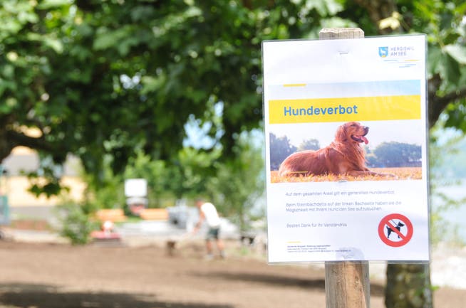Das Hundeverbot auf dem noch gesperrten Gemeindehausplatz ist schon angebracht. (Bild: Matthias Piazza (Hergiswil, 7. Juni 2018))