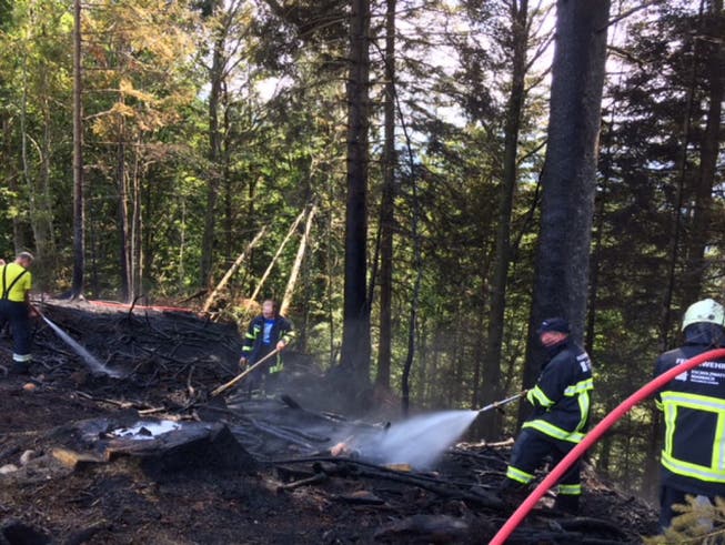 Die Feuerwehr Escholzmatt-Marbach löscht einen Flurbrand in Waldrandnähe. (Bild: Luzerner Polizei)