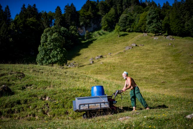Köbi Alder lenkt eine Motorschubkarre über die Alpwiese zur leeren Kuhtränke. (Bild: Benjamin Manser)