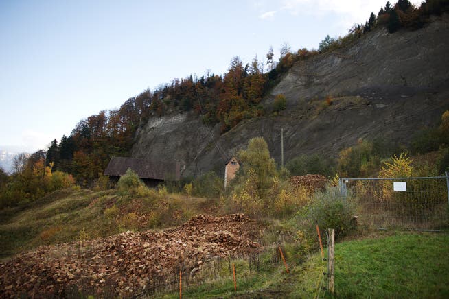 Das Streitobjekt: Die Mergelgrube Grisigen bei Horw. (Bild: Corinne Glanzmann (3. November 2014))