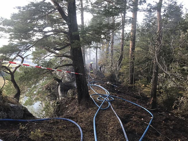 In einem abgelegenen Waldstück im Kanton Jura brach am Sonntagnachmittag ein Brand aus. Weil die Stelle für die Feuerwehrleute schwer zugänglich war, wurde auch ein Löschhelikopter eingesetzt. (Bild: Kantonspolizei Jura)
