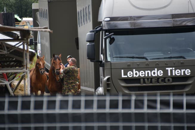 August 2017: Die Armee transportiert die Pferde vom Hof in Hefenhofen ab. (Bild: Manuel Nagel)