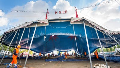 Das Zirkuszelt hat ausgedient, das neue Chapiteau soll dieselbe Farbe und Grösse haben. (Bild: Andrea Stalder, Kreuzlingen, 18. April 2017)