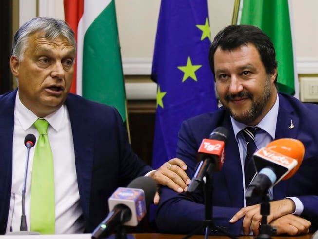 Matteo Salvini (r.) und Viktor Orban am Dienstag in Mailand vor den Medien. (Bild: Keystone/AP/LUCA BRUNO)