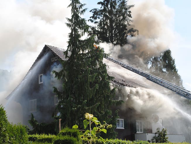 Beim Brand eines Mehrfamilienhauses in Reiden LU ist starker Rauch aus dem Dachstock gedrungen (Bild: Luzerner Polizei)