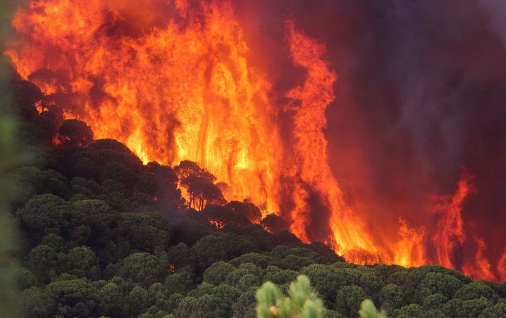 Im Süden Spaniens wüten Waldbrände. (Bild: Keystone)