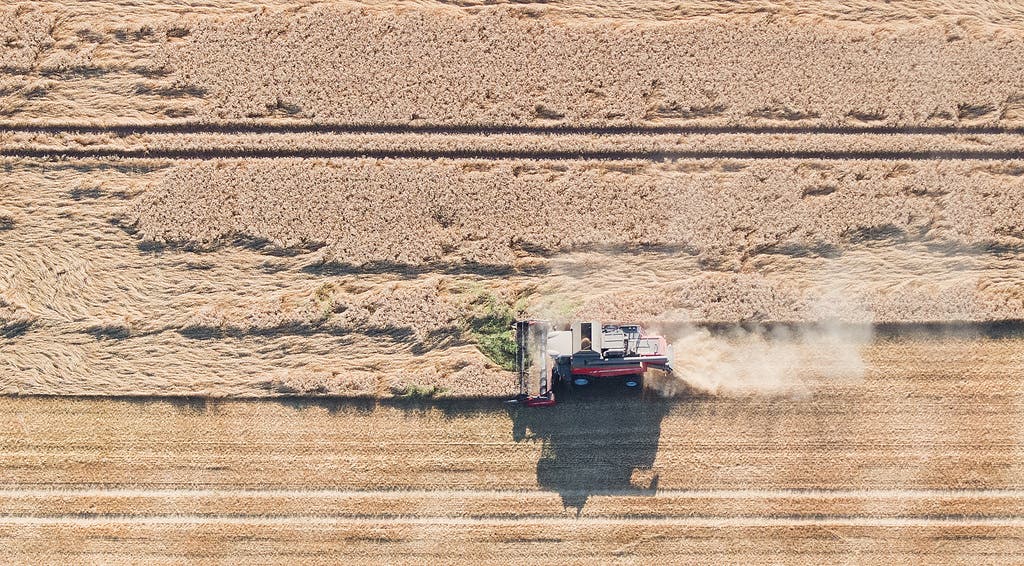 Mähen in der Hitze: Ein Mähdrescher fährt über ein Getreidefeld im deutschen Niedersachsen. (Bild: Keystone)