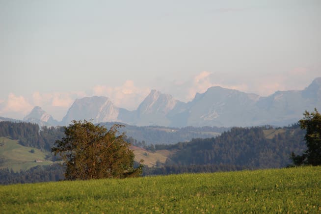 Vom Schauenberg oberhalb von Lütisburg sieht man bei gutem Wetter die Churfirsten. (Bild: Martin Knoepfel)
