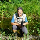 Der Biologe Beat von Wyl inspiziert die von ihm initiierten kleinen Amphibien-Weiher am Wichelsee. (Bilder: Romano Cuonz (Kägiswil, 28. Juli 2018))
