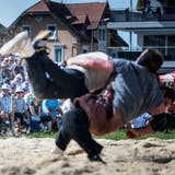 5000 Besucher kamen Ende Mai an das Kantonalschwingfest in Tübach. (Bild: Michel Canonica)