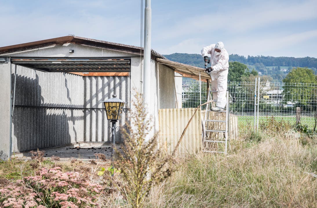 Aufgrund der Asbestbelastung müssen die Arbeiter Vorsicht walten lassen und tragen Schutzanzüge und Gesichtsmasken. (Bild: Andrea Stalder)