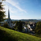 Die Ortsplanungsrevision in Reiden soll mehr potente Steuerzahler in die Gemeinde locken. (Bild: Jakob Ineichen (26. September 2018))