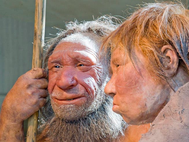 Neandertaler stellte man sich bisher eher grobschlächtig vor. Eine neue Studie beweist: Sie hatten durchaus Fingerspitzengefühl. (Bild: KEYSTONE/AP/MARTIN MEISSNER)