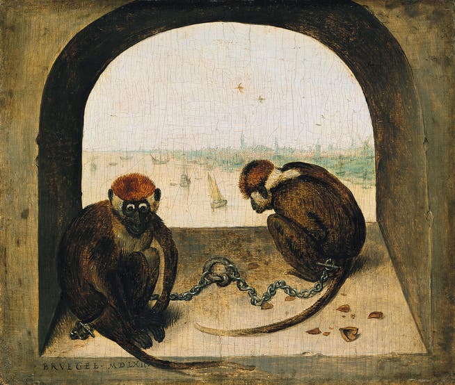 1562 malte Pieter Bruegel diese beiden Meerkatzen auf Eichenholz. Der Künstler setzte die Grundstimmung von Gefangenschaft und stillen Sehnsucht der wehrlosen Tiere meisterhaft um. 