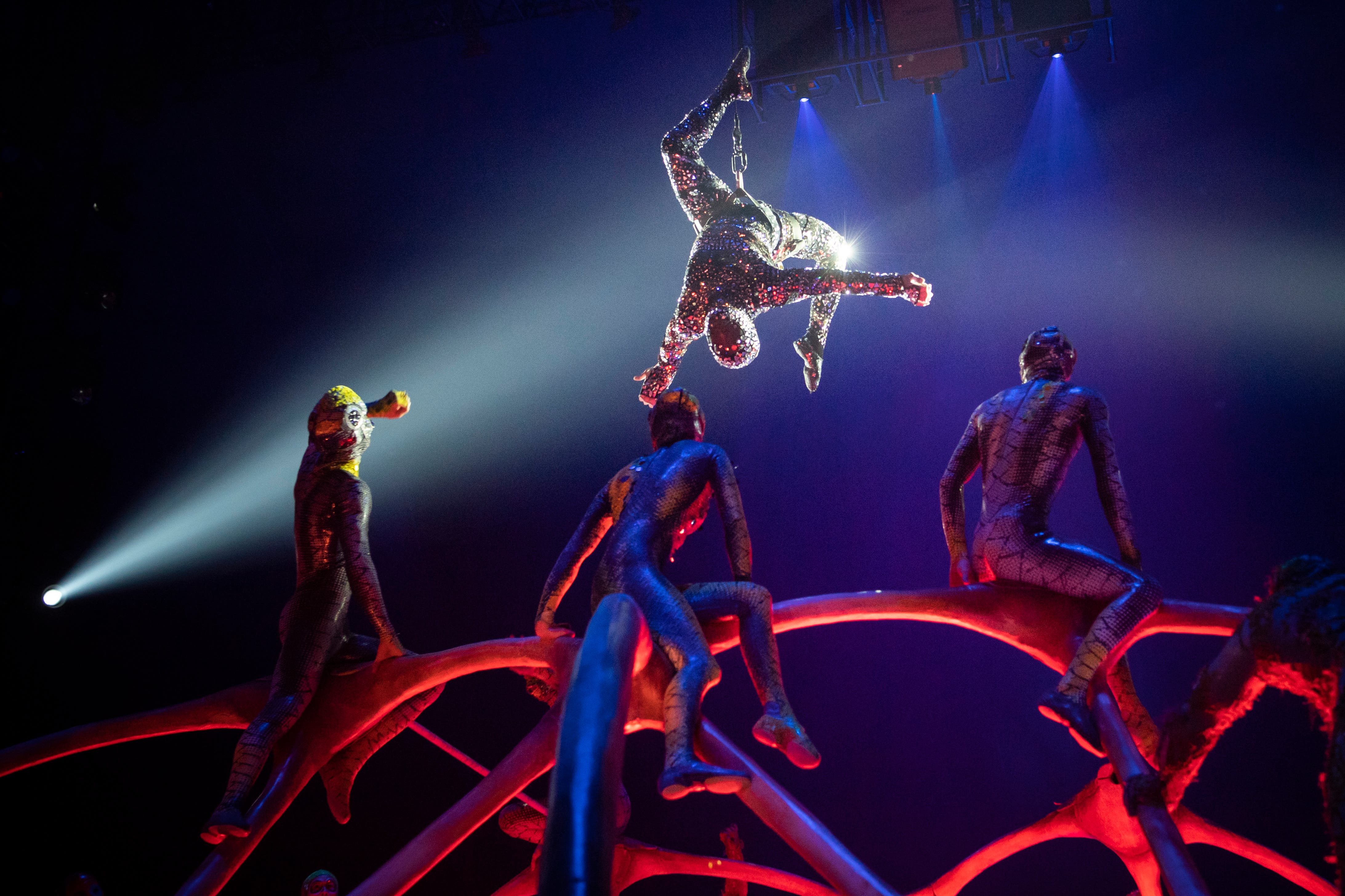 Bildstrecke Cirque du Soleil mit Programm Totem in Zürich