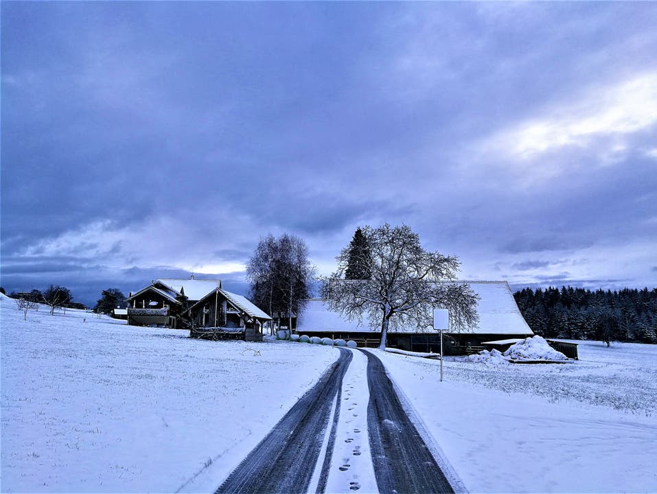 Winterliche Naturlandschaft mit Bauernhof. (Bild: Urs Gutfleisch (Hildisrieden, 9. Januar 2019))