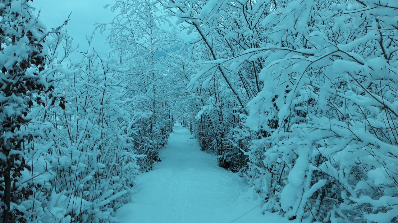 Ein verschneiter Weg in Giswil. (Bild: Claudia Halter, 10. Januar 2019)