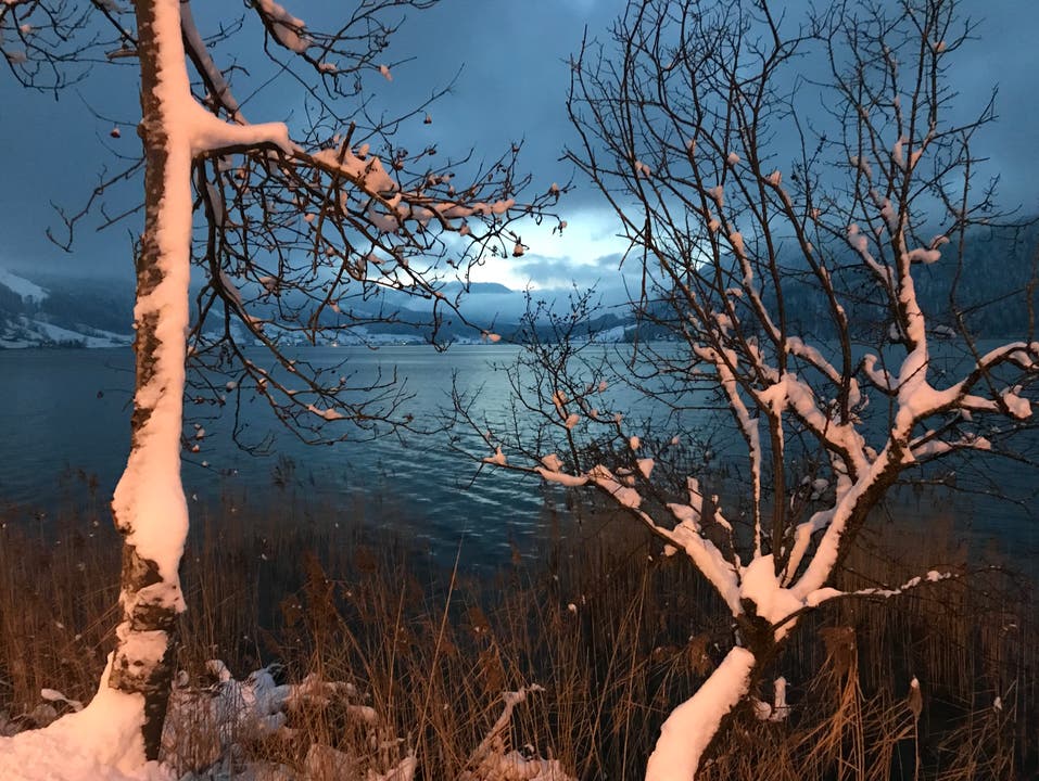 Endlich Winter: Jede Menge Schnee dem See entlang von Oberägeri Richtung Morgarten. (Bild: Enrico Schildknecht (Oberägeri, 11. Januar 2019))