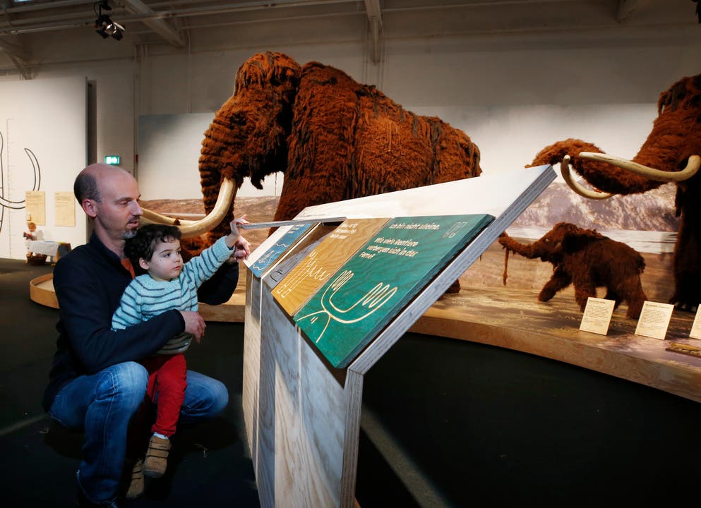 Stephane und Sohn Bastian Latouche entdecken Neues zum Mammut. (Bild: Stefan Kaiser (Zug, 13. Januar 2019))