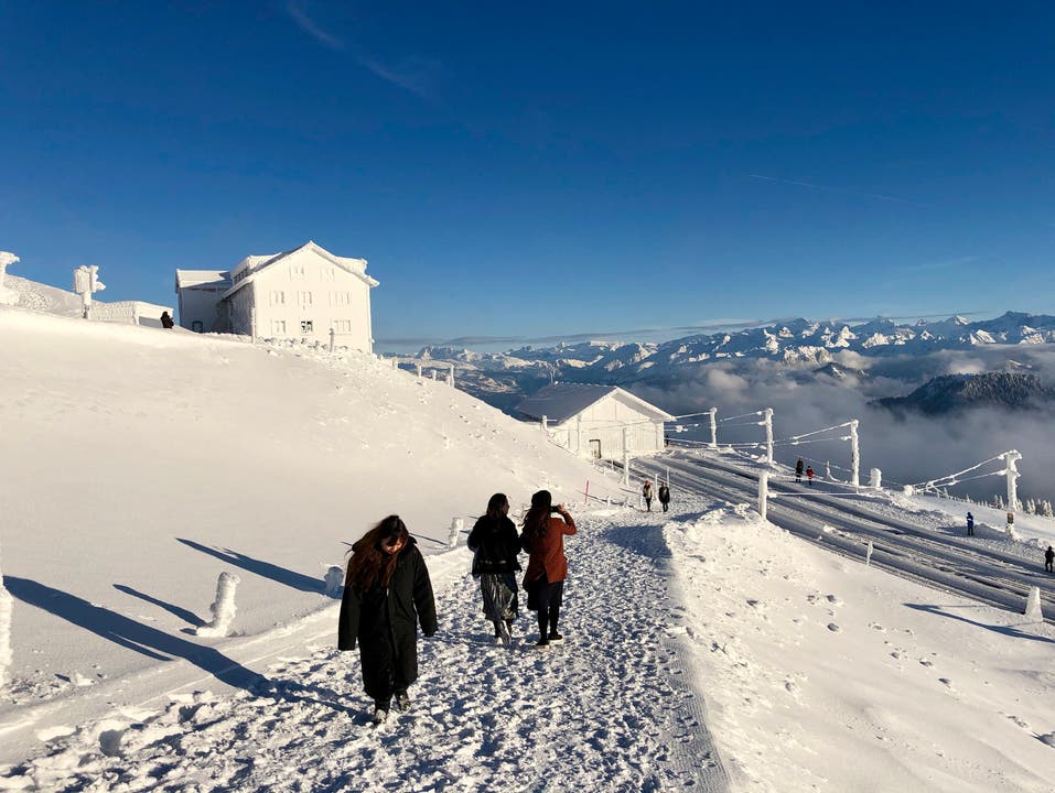 Echt Winter auf Rigi Kulm. (Bild: Markus Brülhart, 15. Januar 2019)